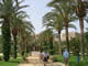 PROMENADE PARK AT CARBONERAS